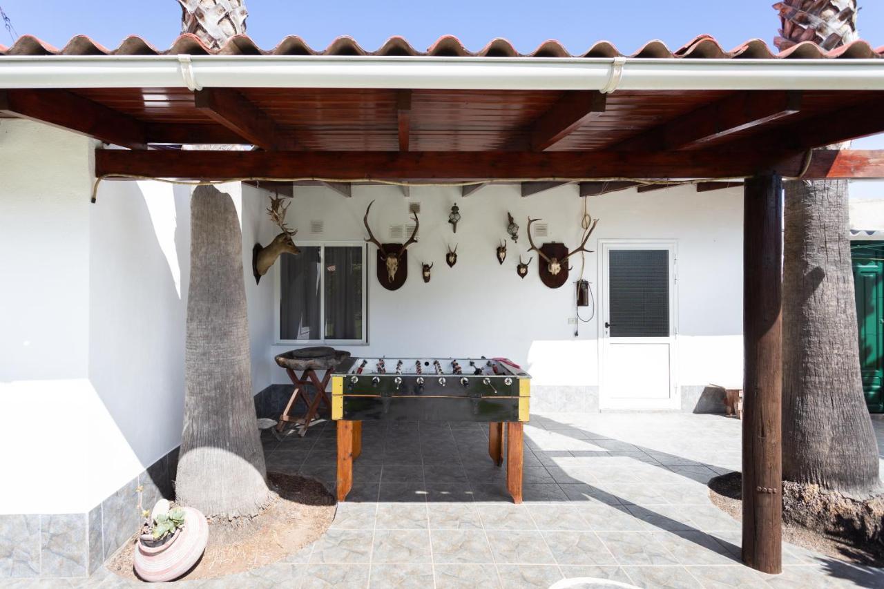Apartamento La Gaviota - Terazza